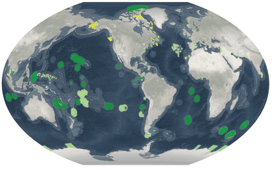 Globe